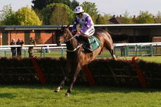 McCoy Contractors NH Maiden Hurdle