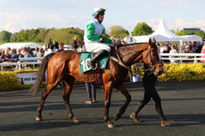 McCoy Contractors NH Maiden Hurdle