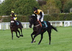 Racing TV NH Flat Race
