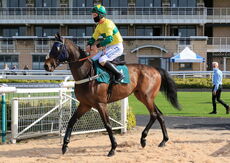 Racing TV Novices' H'cap Hurdle