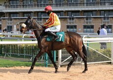 Racing TV Novices' H'cap Hurdle