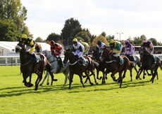Racing TV NH Flat Race