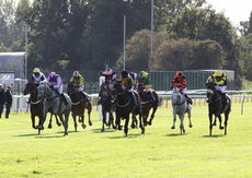 Racing TV NH Flat Race
