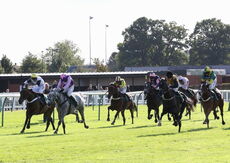 Racing TV NH Flat Race