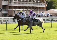 Racing TV NH Flat Race