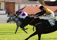 Racing TV NH Flat Race