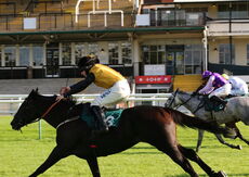 Racing TV NH Flat Race