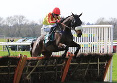 Racing TV Novices' H'cap Hurdle