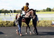 Racing TV NH Flat Race