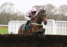 Brand Ambassadors Novices' Chase