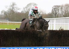Brand Ambassadors Novices' Chase