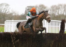 Brand Ambassadors Novices' Chase