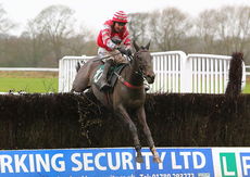 Brand Ambassadors Novices' Chase