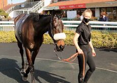 Racing TV Novices' H'cap Hurdle