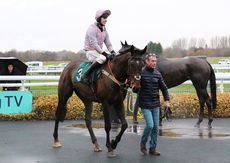 Brand Ambassadors Novices' Chase