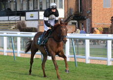 Racing TV.com Handicap Chase