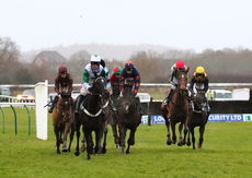 M-Tec Consulting Group NH Flat Race