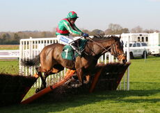 Racing TV Juvenile Hurdle
