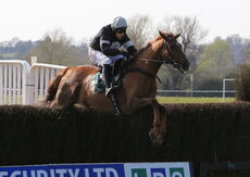 King d'Argent (Harry Skelton)