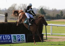 King d'Argent (Harry Skelton)