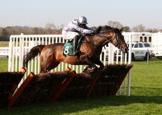 Racing TV Juvenile Hurdle