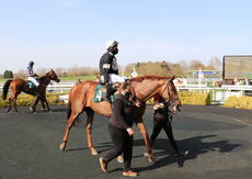 Racing TV.com Handicap Chase
