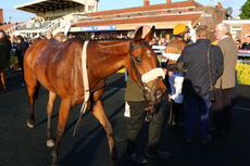 Ardencote Destination Spa Mares' Novices' Chase.
