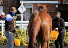 Racing TV.com Handicap Chase