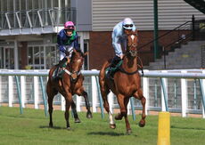 Happy 21 Birthday Tia Harrison H'cap Hurdle