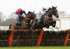 Local Parking Security Novices' H'cap Hurdle.