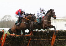Local Parking Security Novices' H'cap Hurdle.