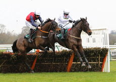 Local Parking Security Novices' H'cap Hurdle.