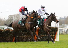Local Parking Security Novices' H'cap Hurdle.