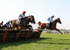 Happy 21 Birthday Tia Harrison H'cap Hurdle