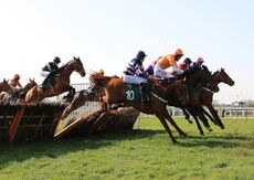 Happy 21 Birthday Tia Harrison H'cap Hurdle