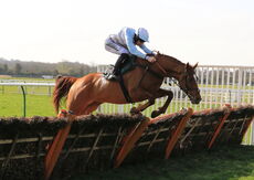 Happy 21 Birthday Tia Harrison H'cap Hurdle
