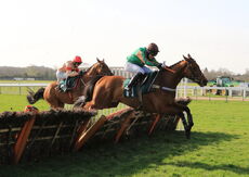 Happy 21 Birthday Tia Harrison H'cap Hurdle