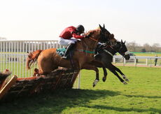 Happy 21 Birthday Tia Harrison H'cap Hurdle