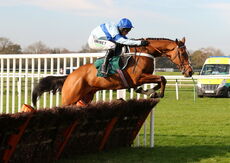 Racing Tv Novices' Hurdle