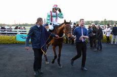 Qatar Airways H'cap Hurdle.