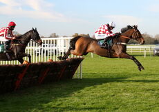 Racing Tv Novices' Hurdle