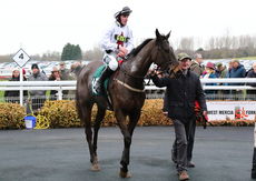 Local Parking Security Novices' H'cap Hurdle.