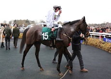 Local Parking Security Novices' H'cap Hurdle.