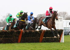 LPS Mares NH Novices Hurdle