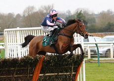 LPS Mares NH Novices Hurdle