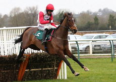 LPS Mares NH Novices Hurdle