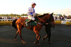 Agetur Conditional Jockeys' H'cap Chase.