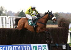 Allmankind (Harry Skelton)