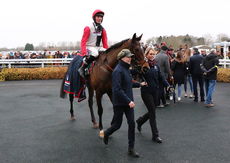 LPS Mares NH Novices Hurdle