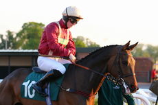Racing TV NH Flat Race